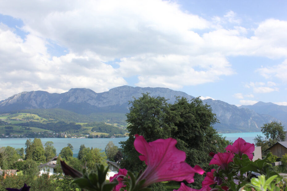madlgupf-ausblick-zweiter-stock-min